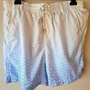 Southern Marsh Men's Swim Trunks